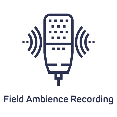 Field Ambience Recording