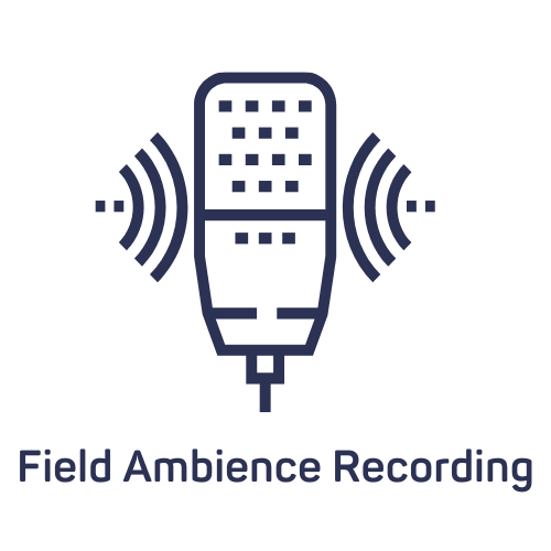 Field Ambience Recording